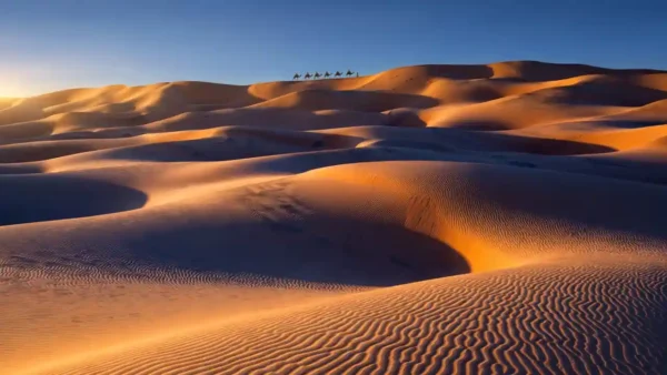 12 Fascinating Facts About the Sahara Desert That Will Change What You Think a Desert Is (2026)