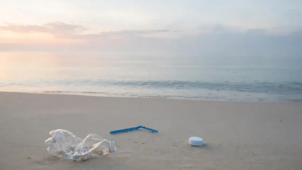 Global Plastics Treaty in 2026: After Bangkok, Can the World Finally Agree by March 2027?