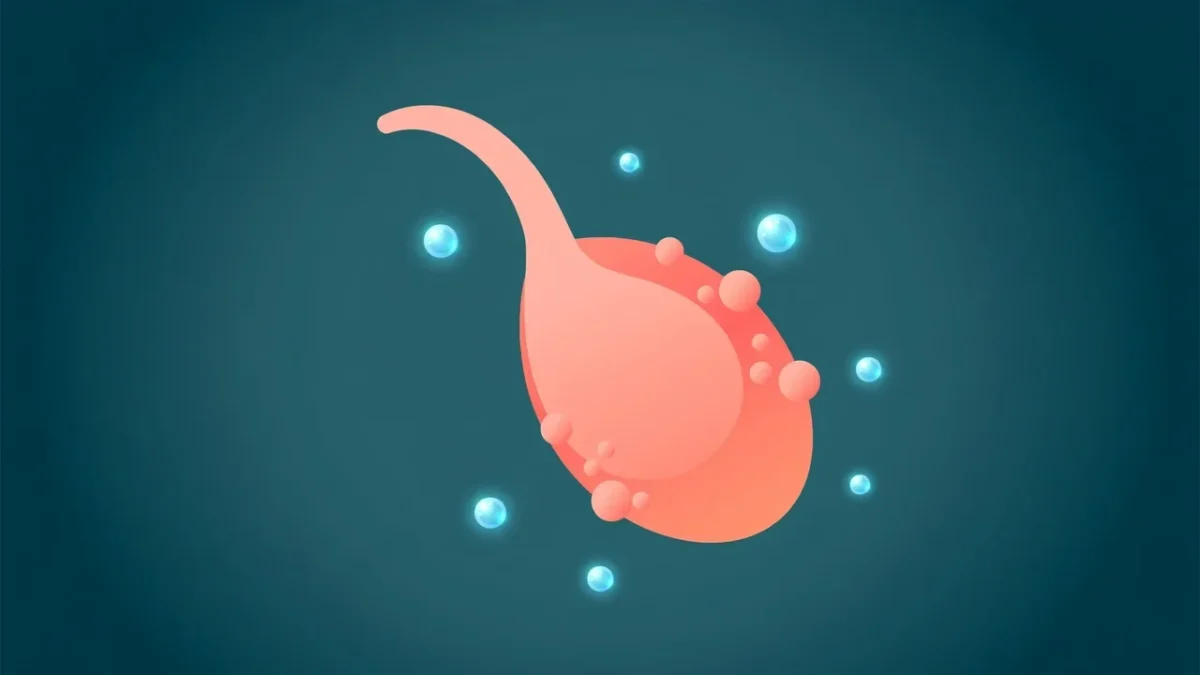 Postmenopausal Ovaries Stay Biologically Active and May Raise Cancer Risk, Study Finds