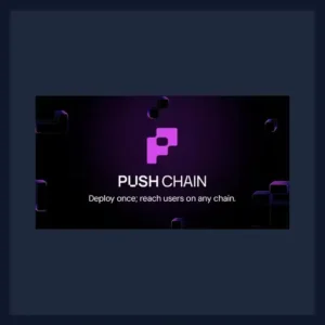Push Chain logo
